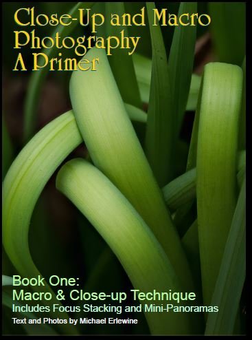 Close-Up and Macro Photography A Primer